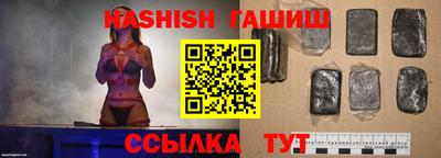 стаф Тула